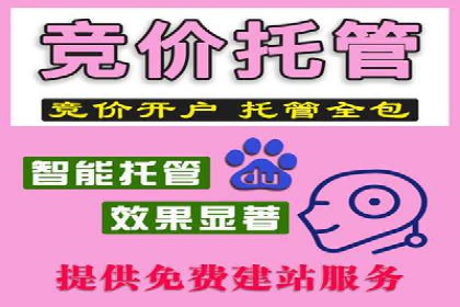 SEM广告投放案例：精准定位客户需求